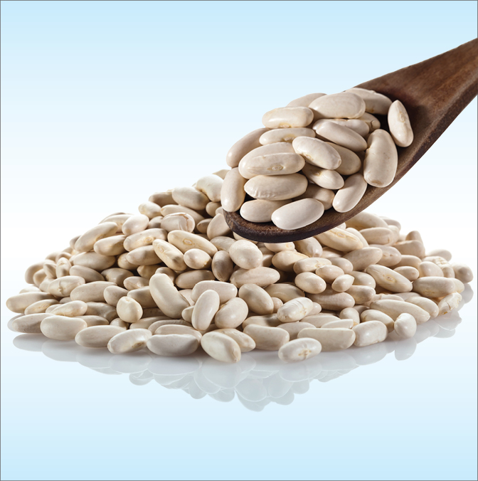 The Incredible Edible White Navy Bean Flour